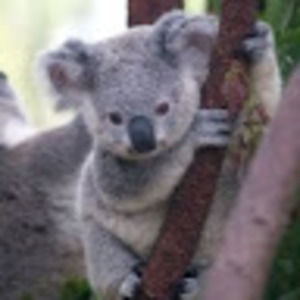 Meet your Posher, Makayliah